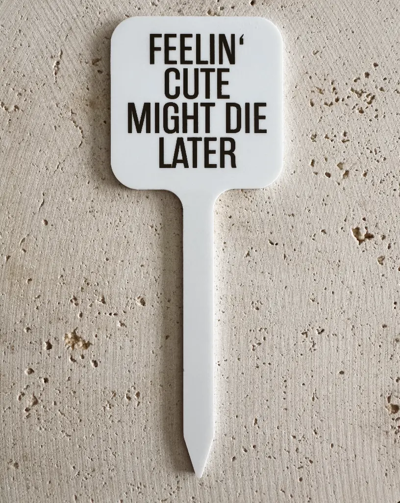 Feelin' Cute Pflanzenstecker aus Acryl